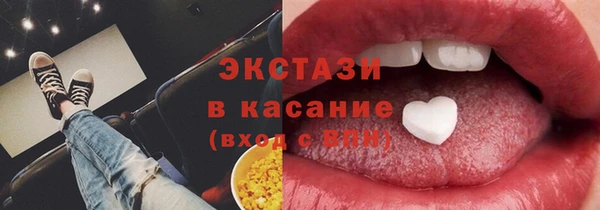 твердый Новозыбков