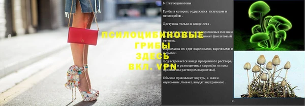 меф Няндома
