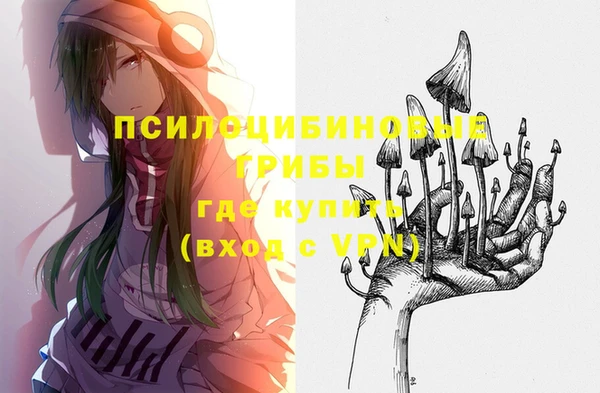 стаф Абинск