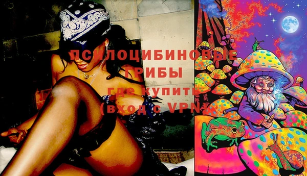 стаф Абинск